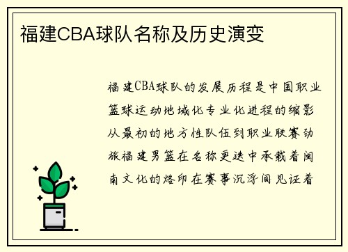 福建CBA球队名称及历史演变