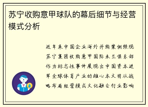 苏宁收购意甲球队的幕后细节与经营模式分析